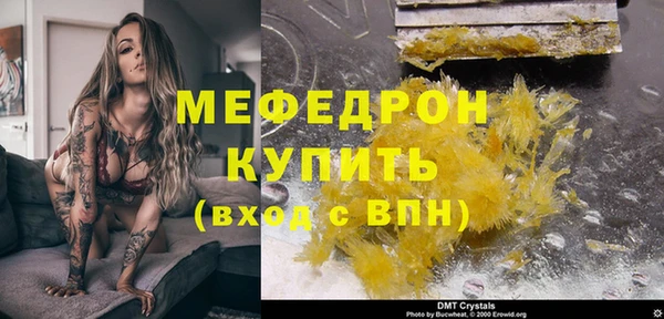 индика Няндома