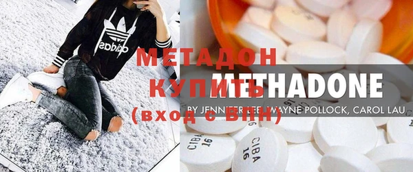 индика Няндома