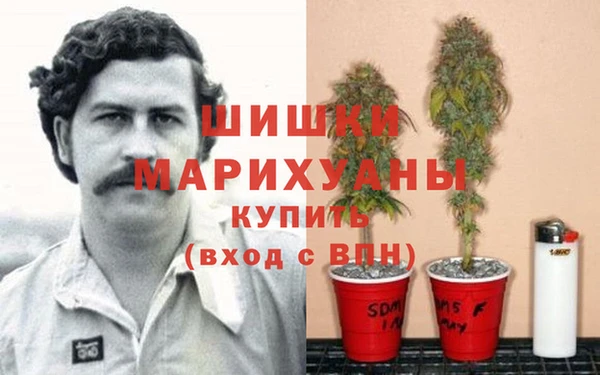 соль курить ск Нязепетровск
