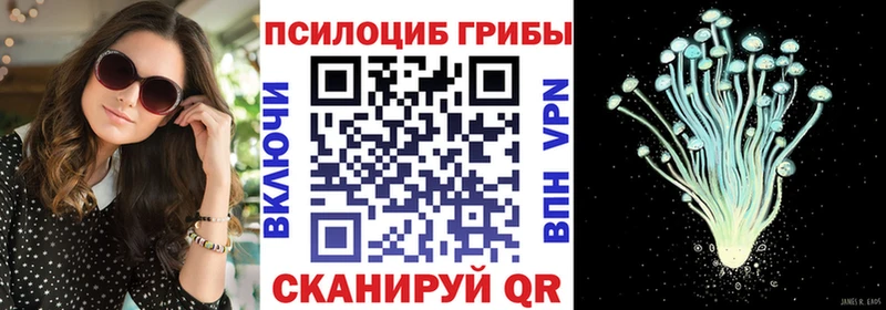 магазин    гидра как зайти  Псилоцибиновые грибы ЛСД  Починок 