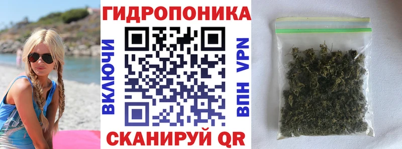 дарнет шоп  Починок  Каннабис сатива 